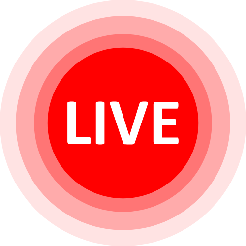 Cam Recorded Porn